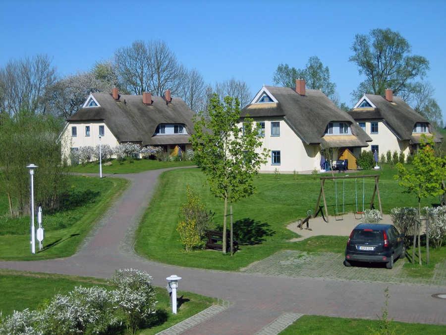 Komfortables Reetdachferienhaus Hasel 1 Puddemin Extérieur photo